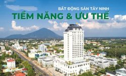 bat dong san tay ninh 1
