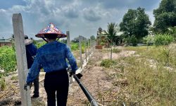 z6529901941953 7ca6f35a6eb72632aeed6b4c0517dc52