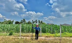 z6529901955553 1773135ea474b52e806a67511e374722