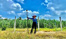 z6529901964983 f8d71858cb6608a02ed606bb039b0a88